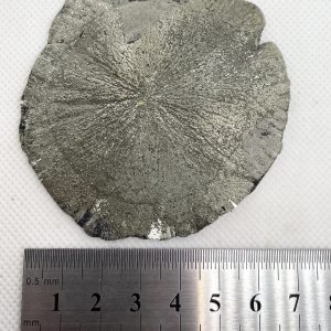 Pyrite Sun - Illinois