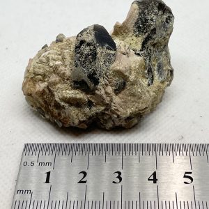 Quartz Var. Smoky with Feldspar - Timbarra