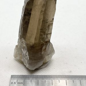 Smoky Quartz - Wolfram Camp