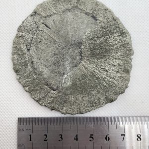 Pyrite Sun - Illinois