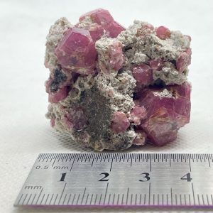 Raspberry Garnet - Mexico
