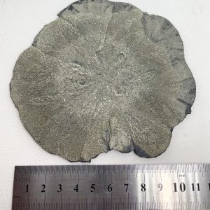 Pyrite Sun - Illinois