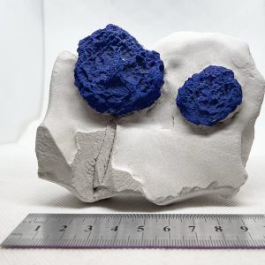 Azurite “Suns” on Kaolinite - Malbunka Copper Mine