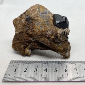 Cassiterite on Quartz - Elsmore