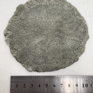 Pyrite Sun - Illinois
