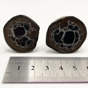 Septarian Nodule - Morocco