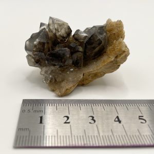 Smoky Quartz- Mooralla