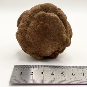 Barite “Sand Rose” - Arizona USA