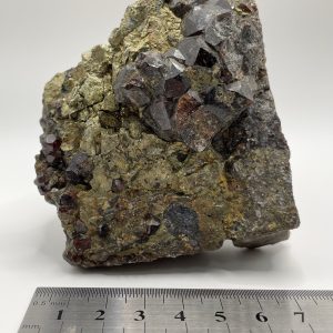 Garnet with Chalcopyrite with Galena - Broken Hill