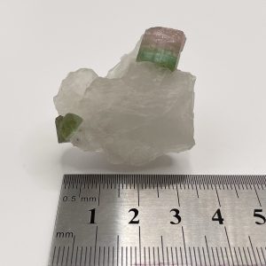Watermelon Tourmaline in Quartz - Naylor Mine / California