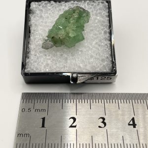 Garnet Var. Tsavorite - Merelani Hills