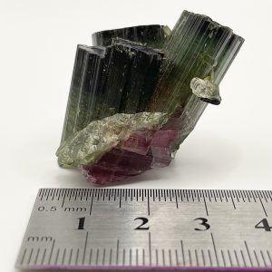 “Watermelon” Tourmaline - Minas Gerais