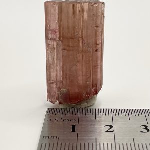 Tourmaline Var. Rubellite - Minas Gerais