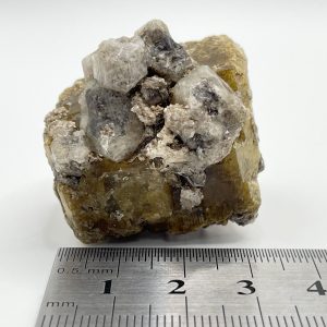 Vesuvianite with Garnet - Coahuila