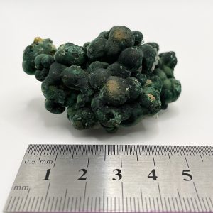 Botryoidal Malachite with Pyromorphite - Rum Jungle