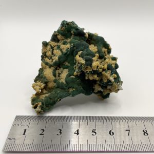 Botryoidal Malachite with Pyromorphite - Rum Jungle