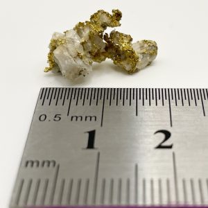 Native Gold in Quartz - PNG