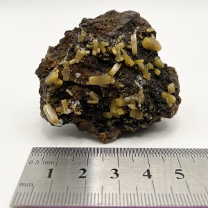 Wulfenite - Ojuela Mine