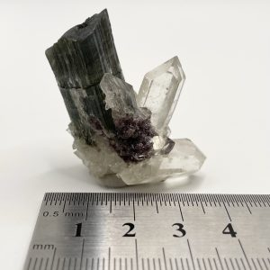 Tourmaline var. Elbaite with Quartz - Pederneira Mine