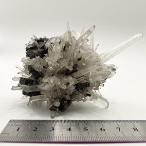 Ferberite & Quartz - Mundo Nuevo Mine
