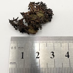 Native Copper - Mount Elliott Mine